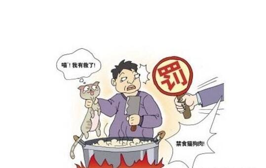 伴侣动物引发的禁食狗肉深圳已有店铺关门玉林又该何去何从