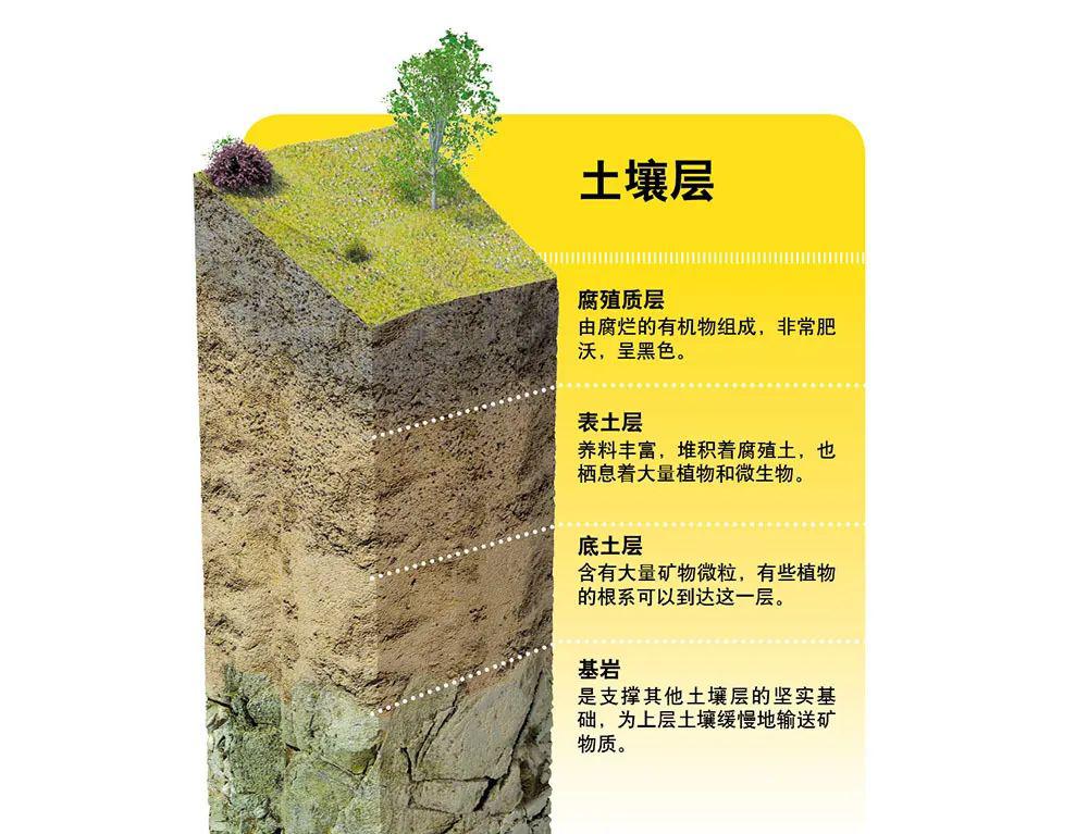 土壤层我们赖以生存的大气,水和土壤都是珍贵的资源,我们人类的日常