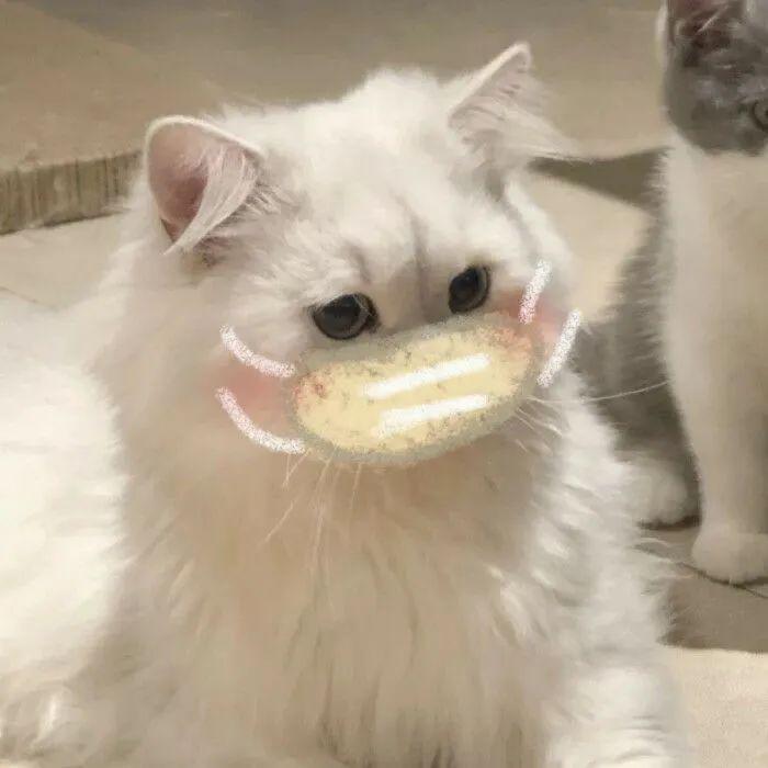 这波调皮可爱的头像送给你请查收