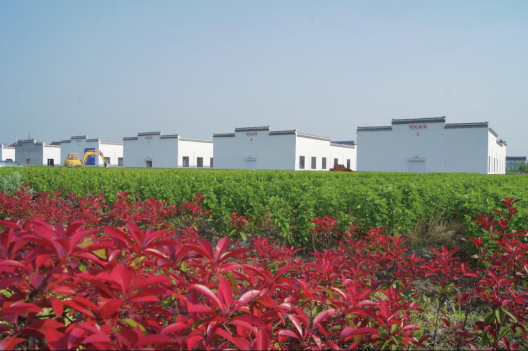 中国茧都富安镇江苏名镇名村