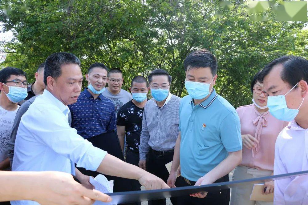 南安市副市长王昭昭到我镇调研仑苍中学迁建工程