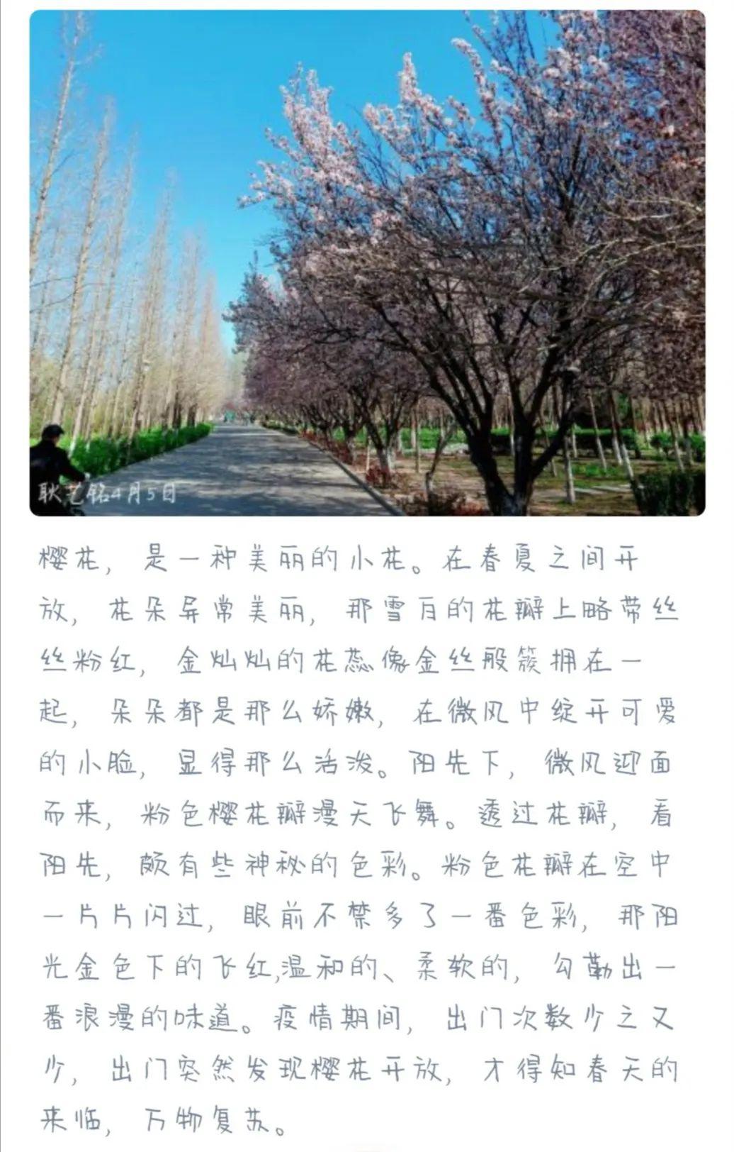 672018级1班举行居家摄影比赛_生活