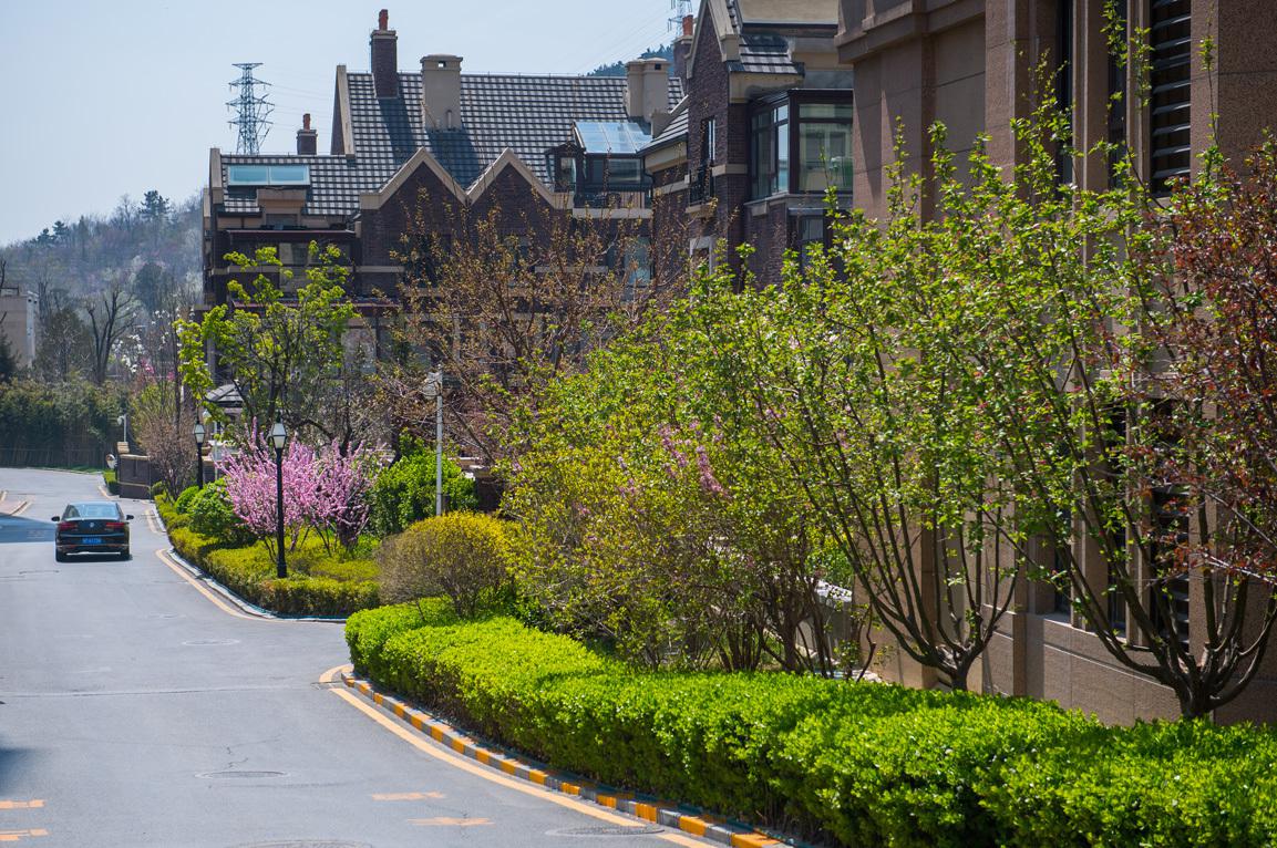 万科御龙山实景万科翡翠湾实景文/房天下 王木木