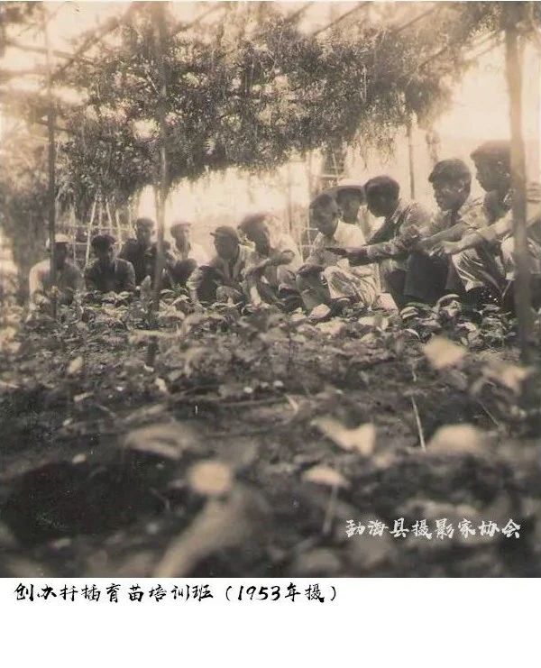 普洱书法艺术的繁荣与探索