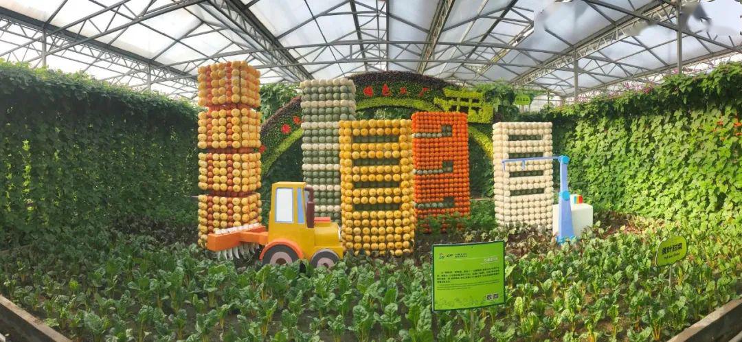 设十二个展馆,优质蔬菜品种展示区,蔬菜博物馆及广场展位区