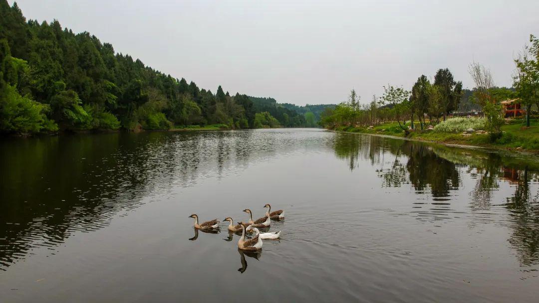 雁江花溪河风景区五一开园迎客