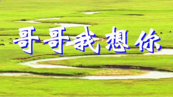 一首情歌哥哥我想你风语好听醉了