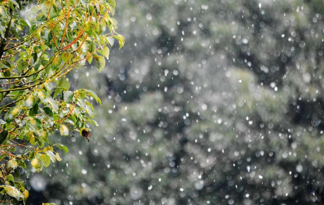 早春雨夹雪图片图片