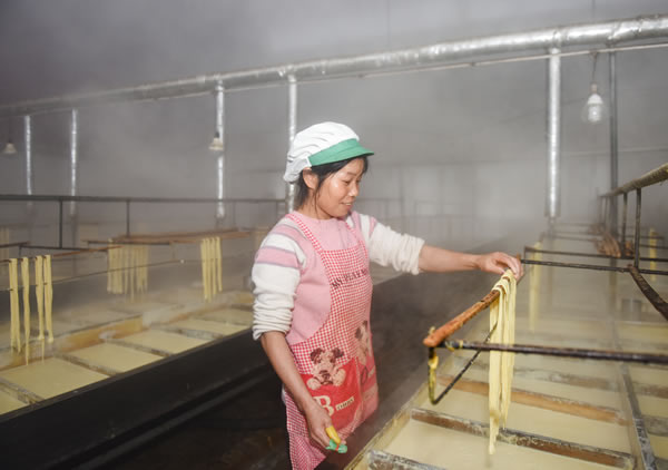 柴桑区消费扶贫产品之三美味的岷山腐竹