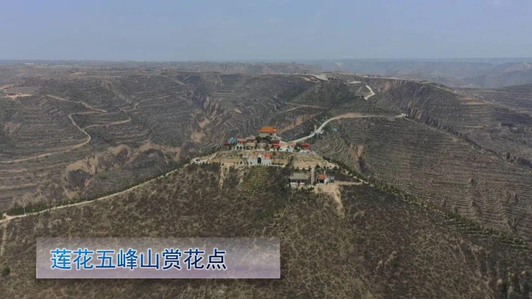 分别是悦龙山赏花点,金鸡坪梯田公园赏花点,贞爱花峪赏花点,莲