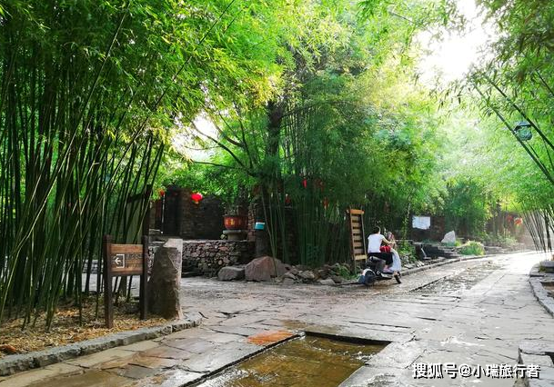 山东最美古村落,村子建在竹林中,北方罕见的江南风景