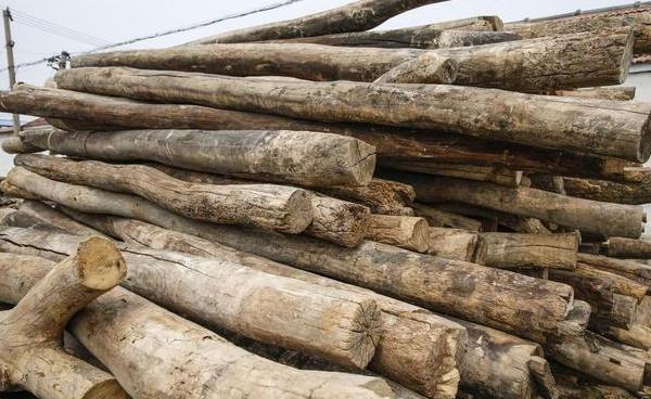 原创农村总有人收旧房梁一根100多老农破木头有啥用答案来了