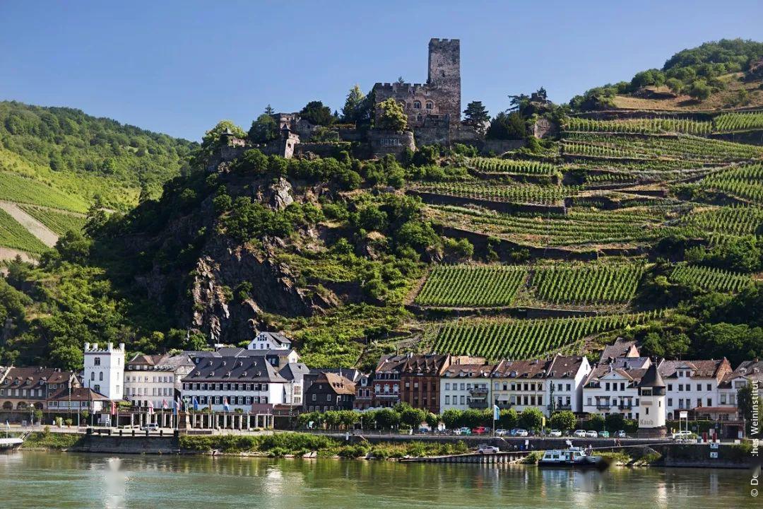 微醺周末云游德国知名葡萄酒产区