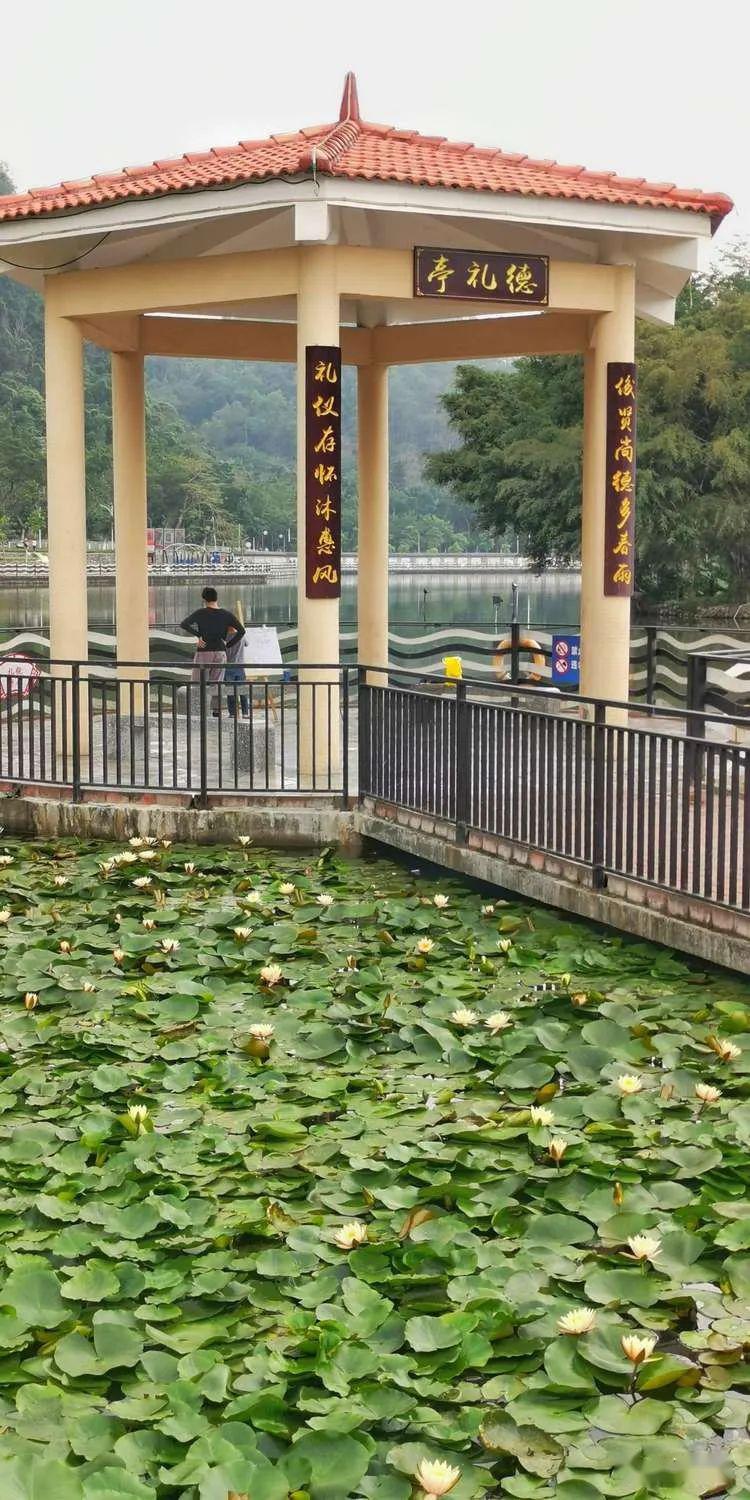 云浮蟠龙天湖广场图片