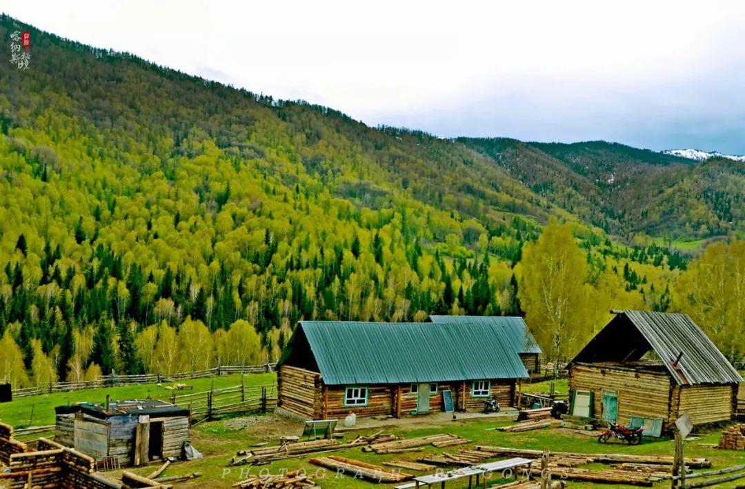 喀旅有约新疆人游家乡疫尽春来喀纳斯禾木2日游一价全包官方出品惊爆