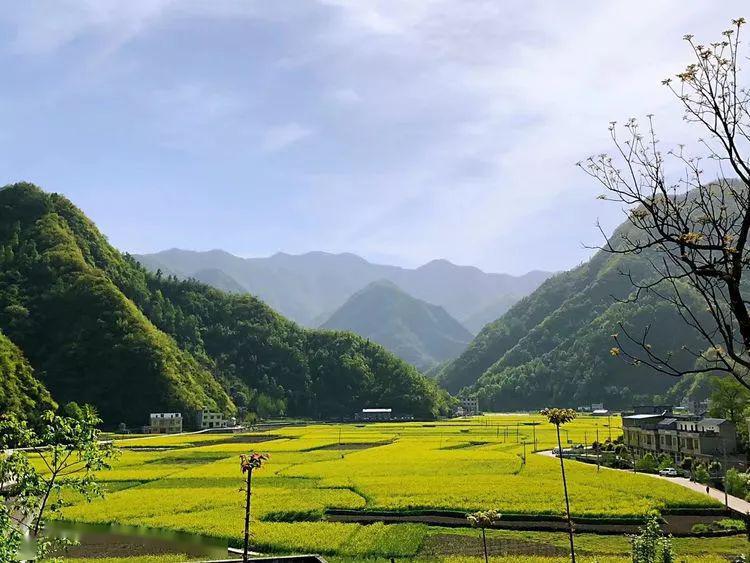 水泉坪:水泉坪位於旬陽縣仁河口鎮西部,因有高峽出平川的千畝水田和