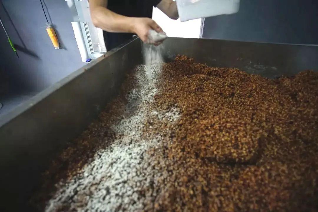 香气四溢匠心酿酒 情怀独具酿造过程如果你想品尝古法