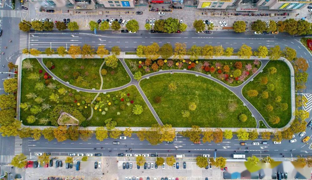 新世纪广场城市增绿生活添彩