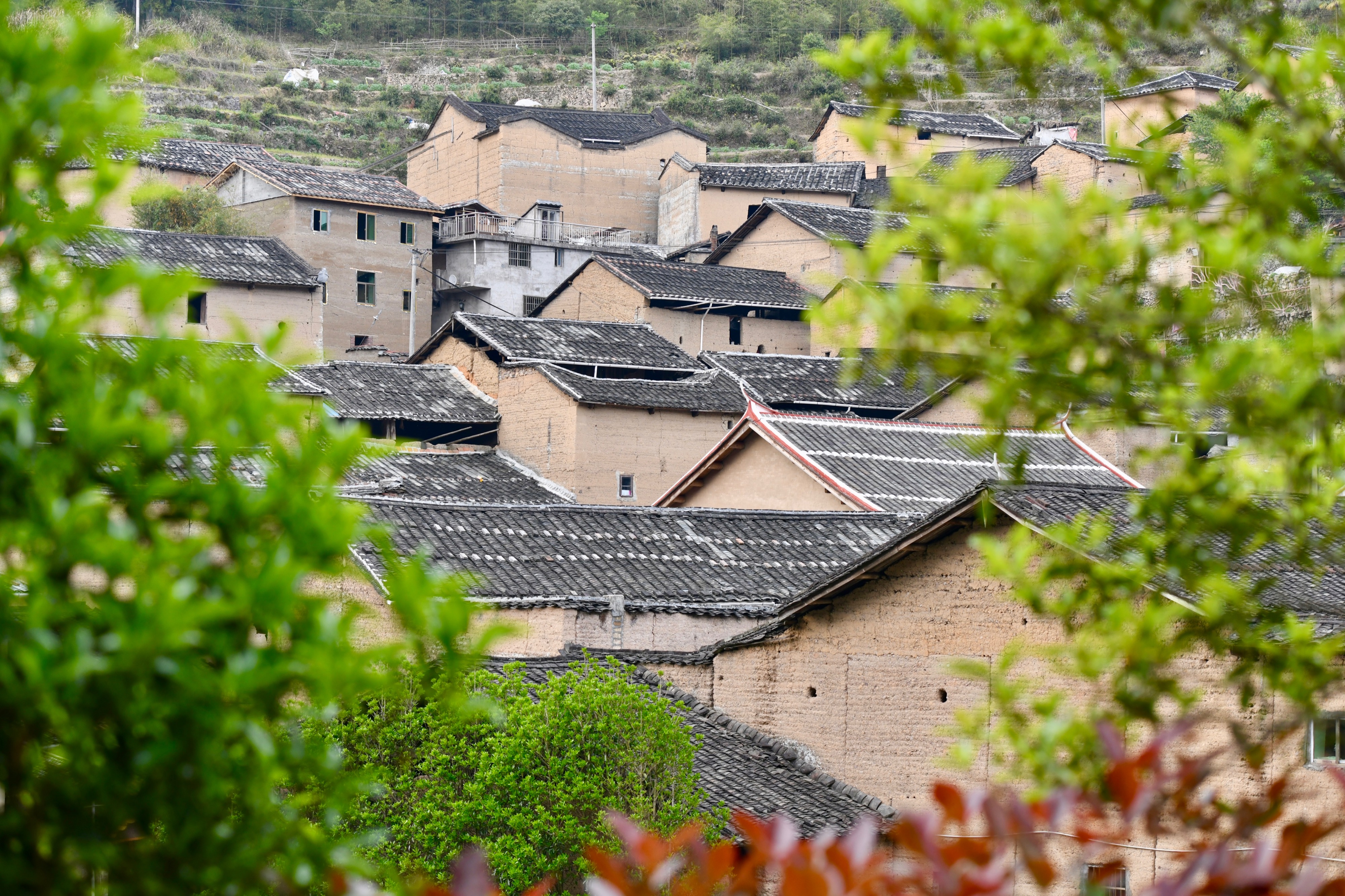 福建周寧古村落保護助力鄉村振興