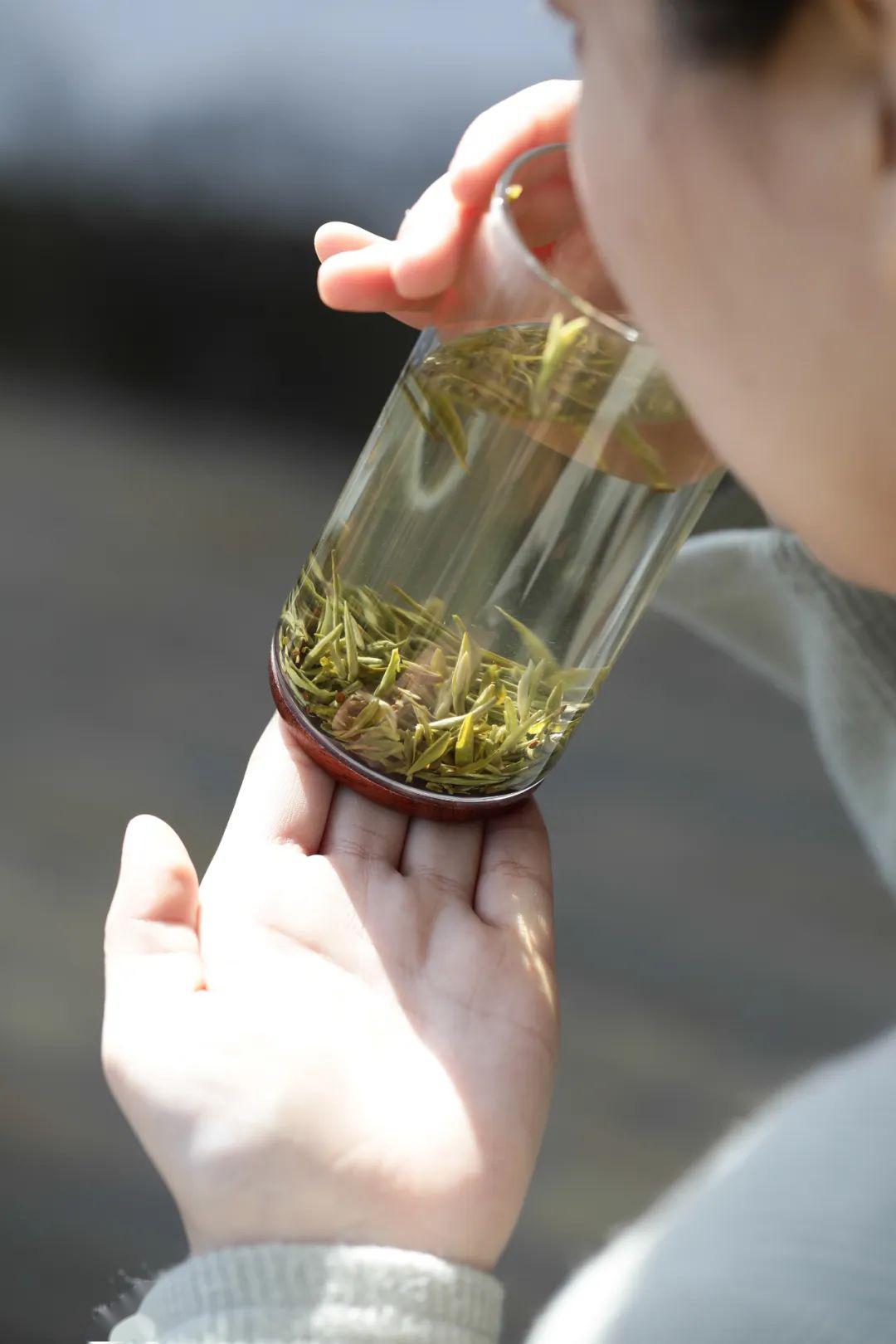 品一杯谷雨茶把春天都装进胃里