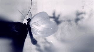 "蝴蝶涅槃"是《琅琊榜》的片头主题.