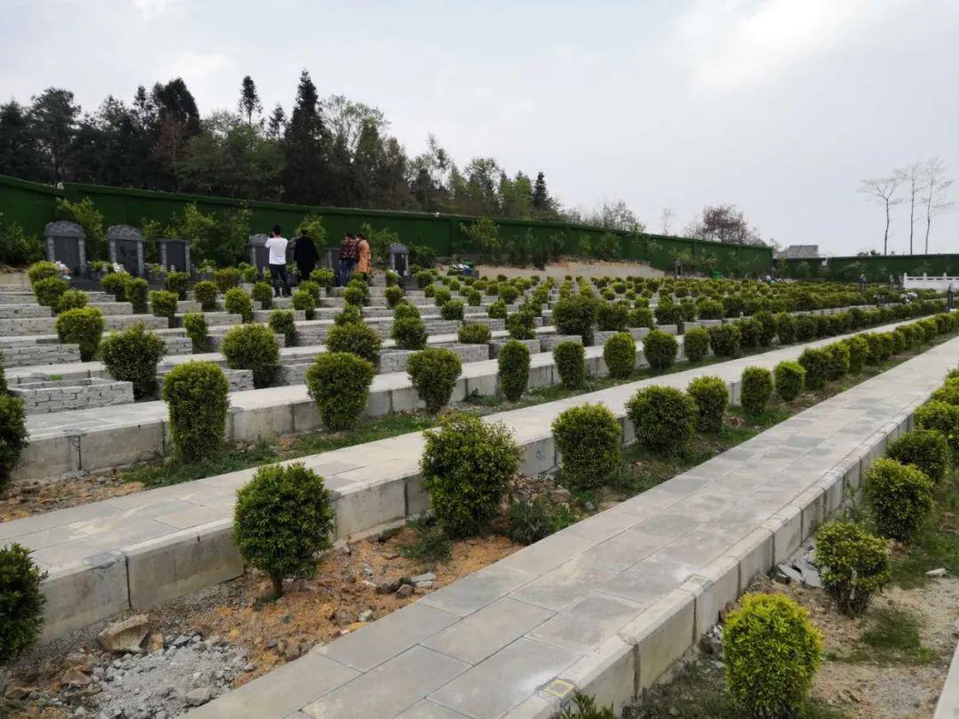 镇雄将对大墓豪华墓活人墓进行全面整治