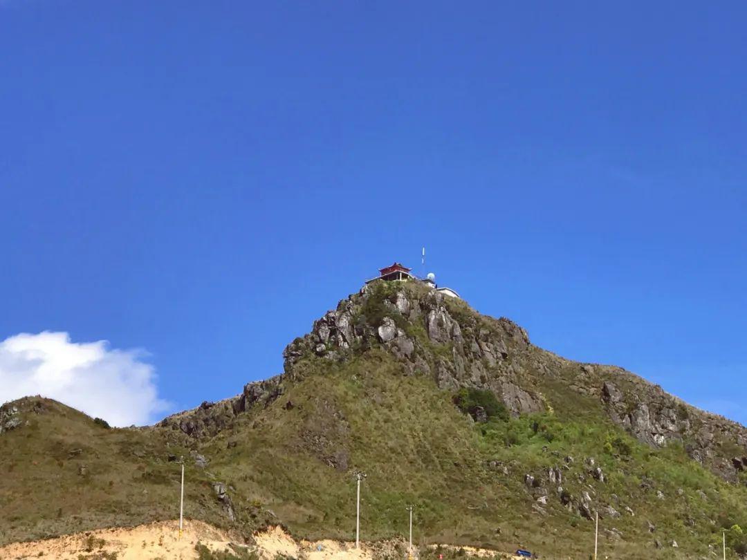 就在蕉城!宁德万亩高山草场任你逍遥