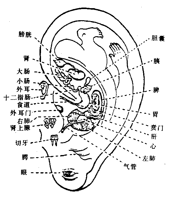 艾神医