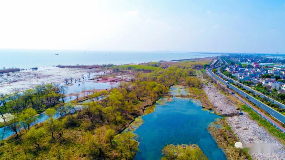 她就是安徽巢湖半岛国家湿地公园北至烔炀河支流高头苏村段,南入浩瀚