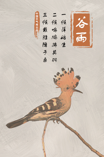 此时的降雨对五谷生长有利  我国古代将谷雨分为三候 一候萍始生 二候