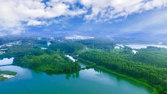 廉州湖生态风景区图片