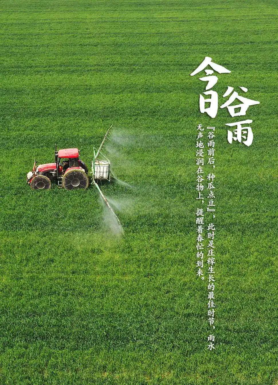 今日谷雨雨生百谷遍地春光