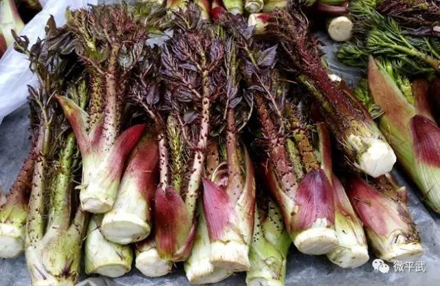 方志四川61美食舌尖上的美味平武野菜