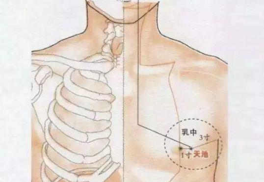 女人的乳房上有一个宝穴它是女性的抗癌穴长寿穴快乐穴一有时间就要灸