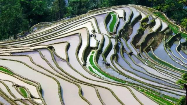 都醒來了8:13 石屏異龍湖漁民划船出海7:56 昆明翠湖紅嘴鷗早起覓食7