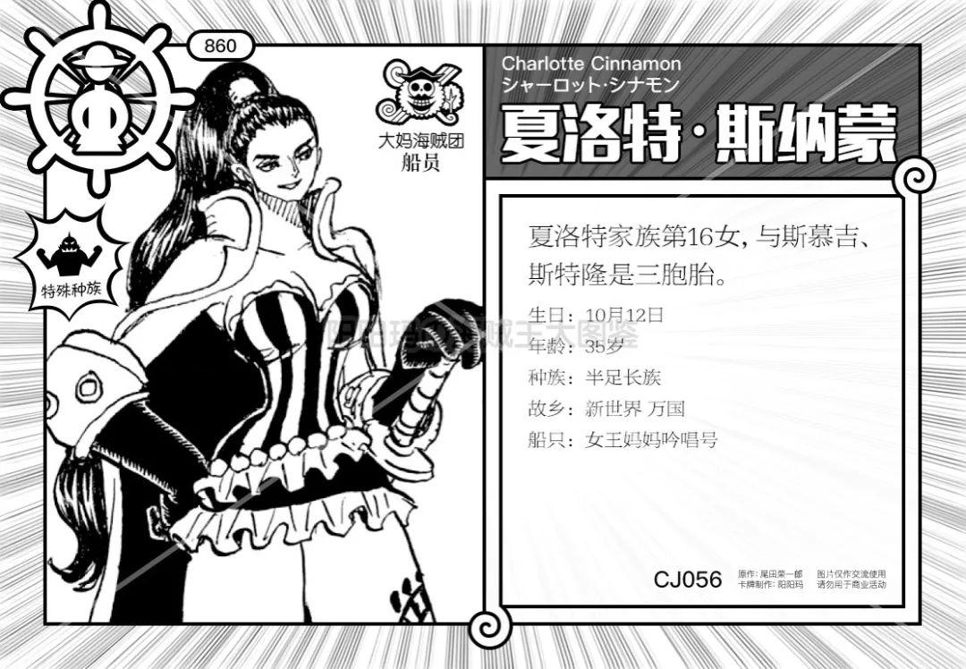 认识一半真海迷路人角色图鉴庞克禁区篇至今