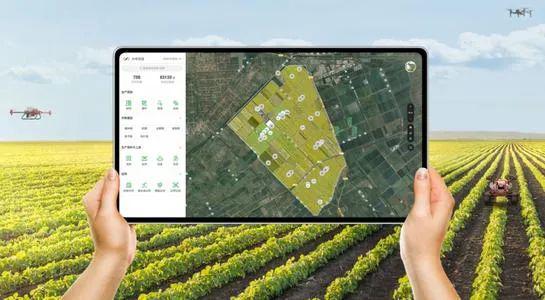 另一方面,阿里,腾讯,京东等科技巨头也大步进军数字农业领域
