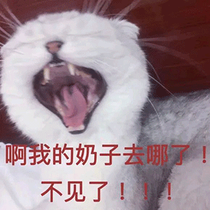 发了这么的表情包为什么还不追我