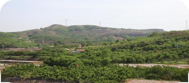 鄉村旅遊 | 黃山鋪鎮:這山這水,在春天裡找尋你_沂水縣