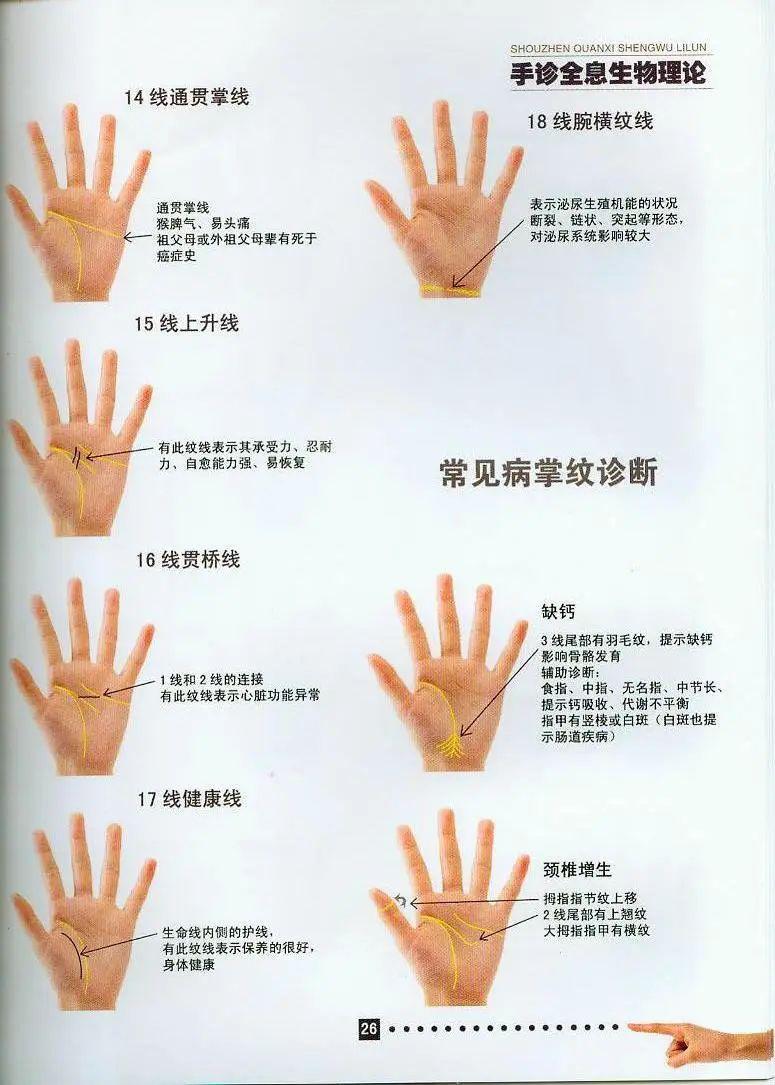 上乘辨证方法:手诊生物全息理论!(全彩图解)