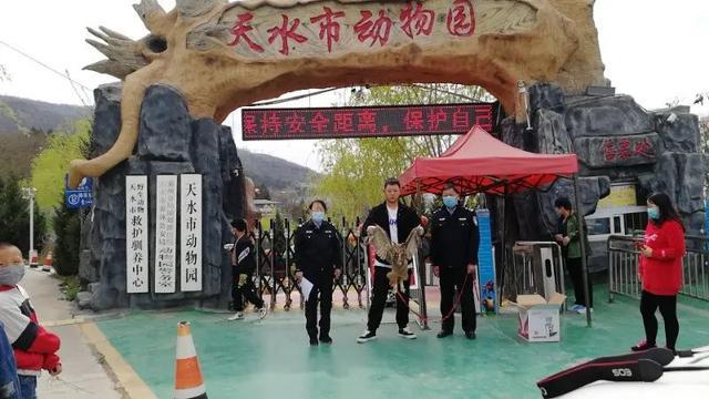 城事喂110吗我发现了一只猫头鹰