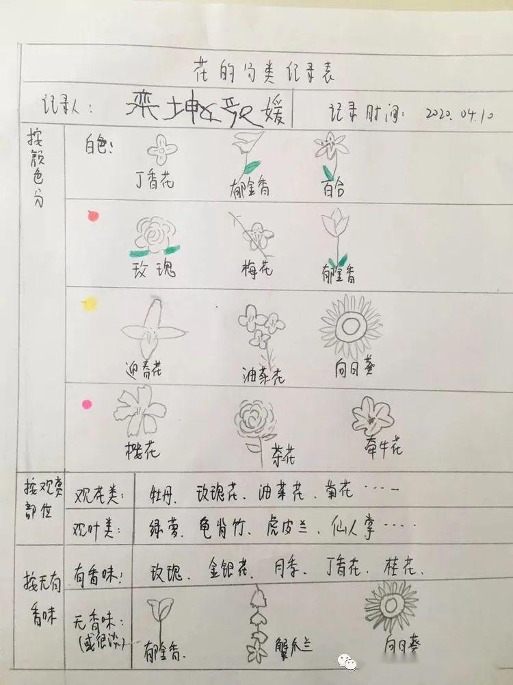 不负好时光,春日行动正当时——奎文区樱园幼儿园探