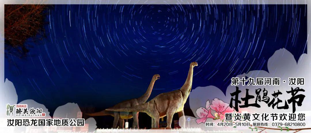 倒计时6天——恐龙之乡,樱海如梦_汝阳