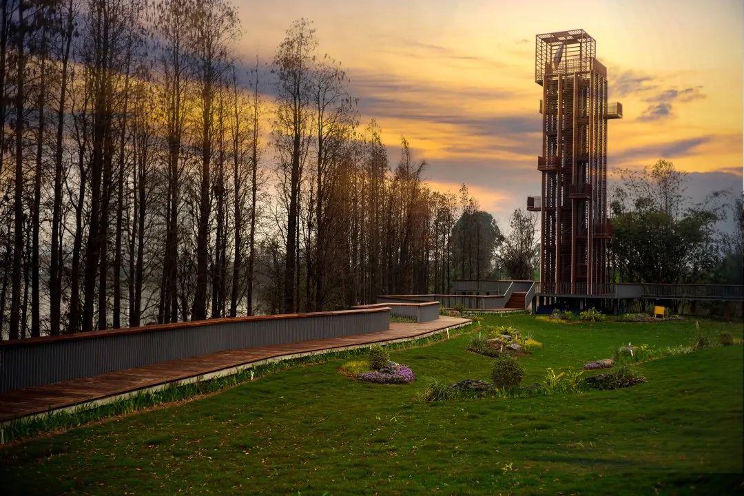 畅骑138公里绿道百亩珍果可供采摘周末就来贤鲁岛体验田园式度假