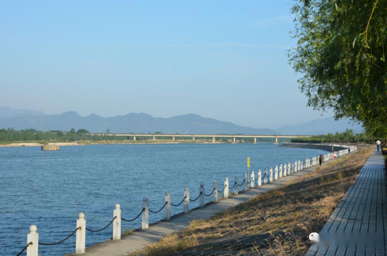 潜山河长护河山水绿白鹭飞时鳜鱼肥