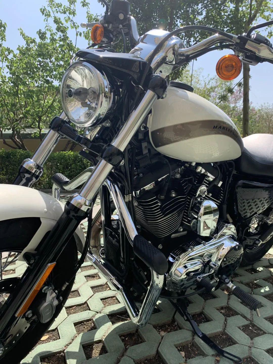 转让济南大贸哈雷xl1200c定制