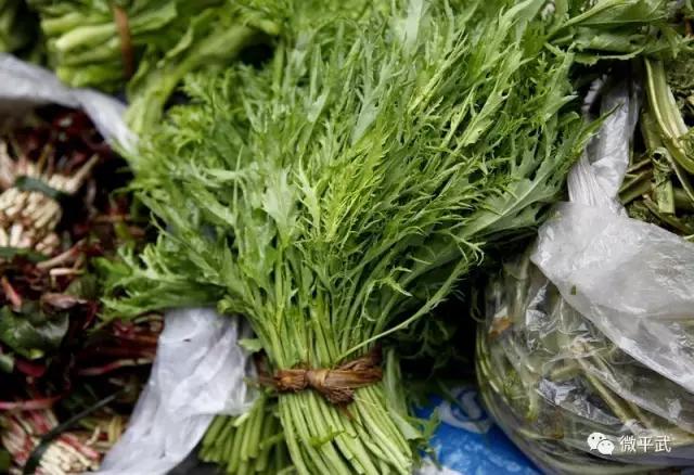 方志四川61美食舌尖上的美味平武野菜