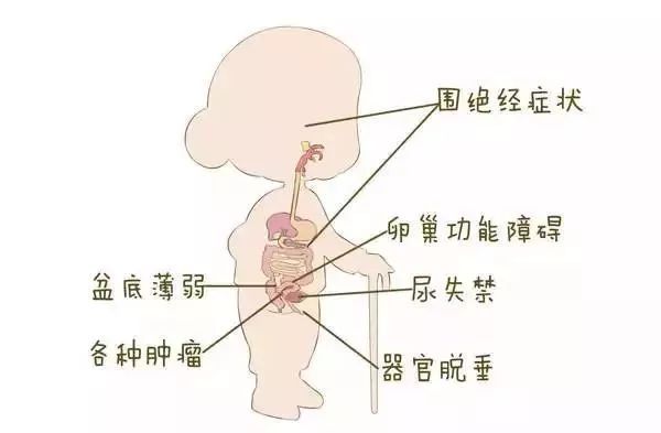 不同年齡段的女性,需要防範哪些婦科病?