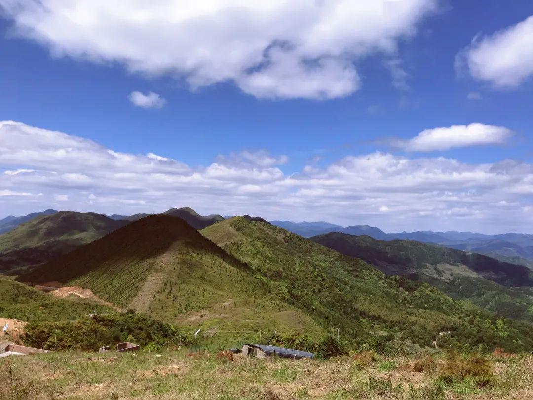 就在蕉城!宁德万亩高山草场任你逍遥~_旗峰