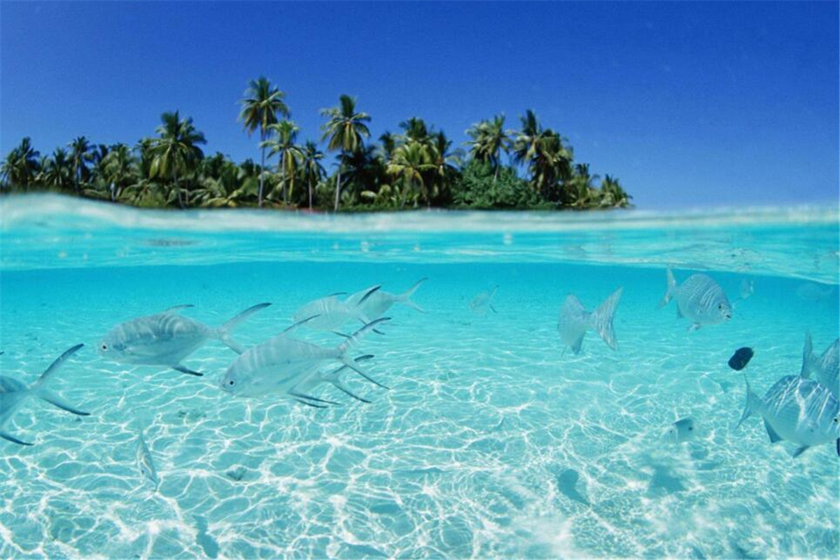 中国最美人工填岛,斥资150亿快要完工,游客称超美"海洋之心"